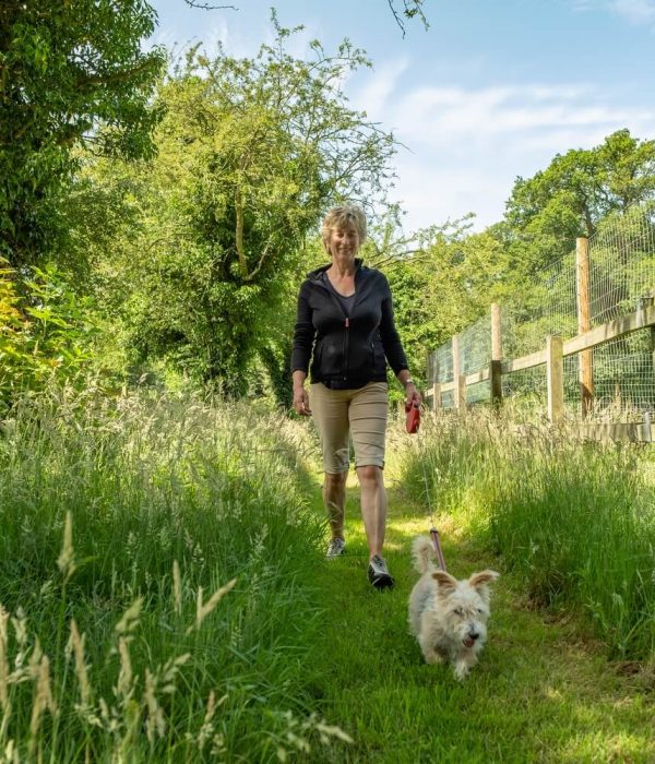 Luxury doggy daycare walks through fields