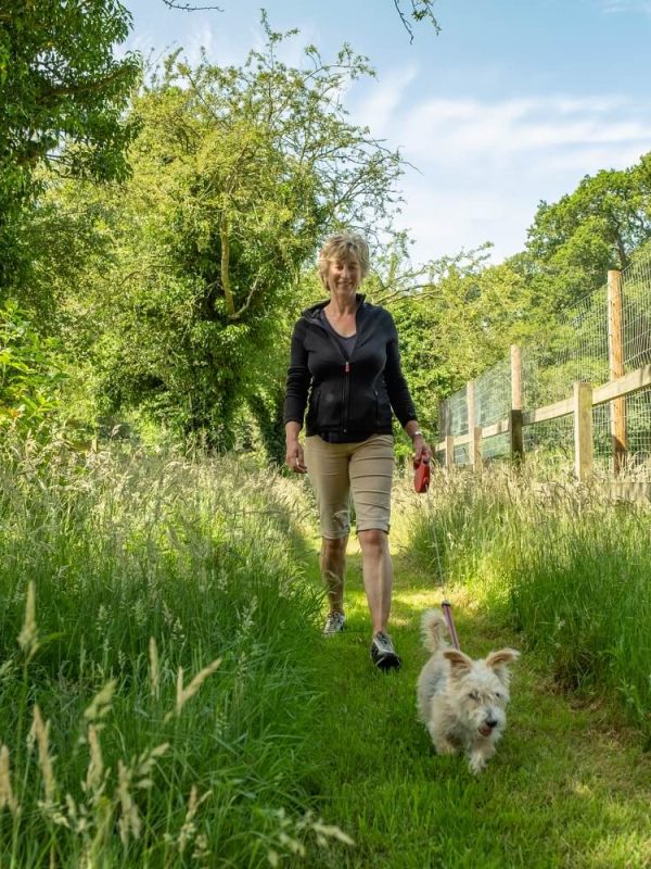 Luxury doggy daycare walks through fields